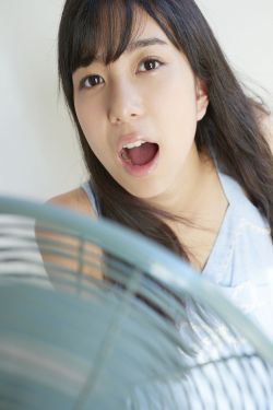念念相忘