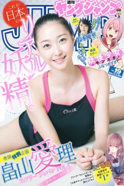最后一个阴阳先生